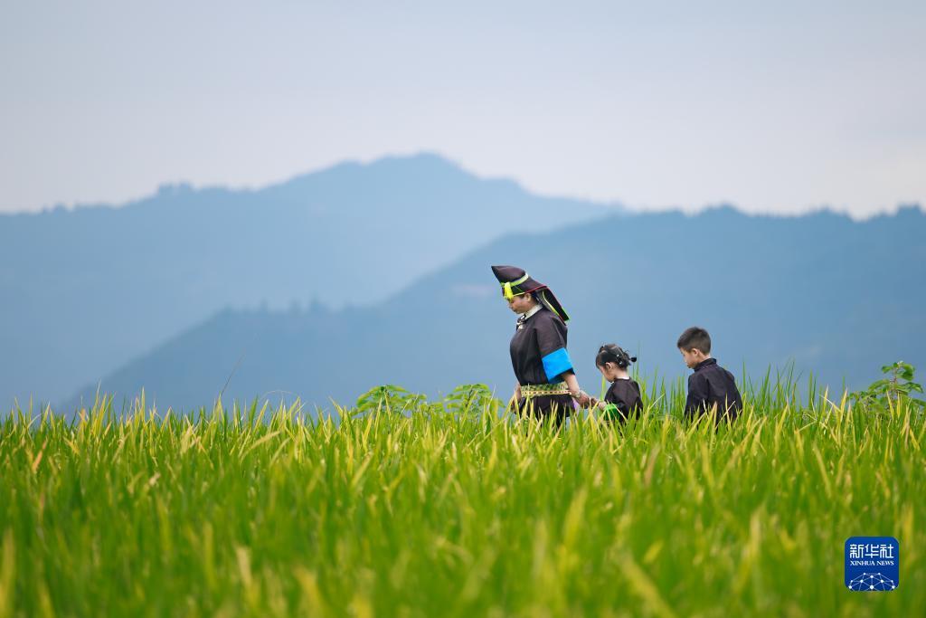 金濠国际平台